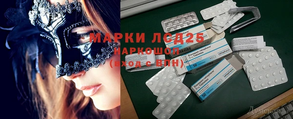 прущие крисы Бородино