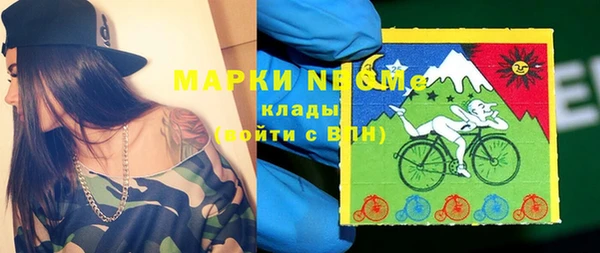 прущие крисы Бородино