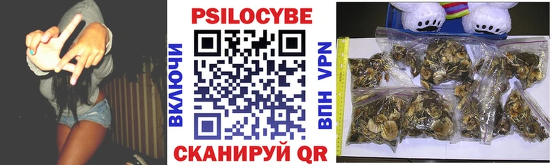 кракен вход  купить  сайты  Кашин  Псилоцибиновые грибы Cubensis 
